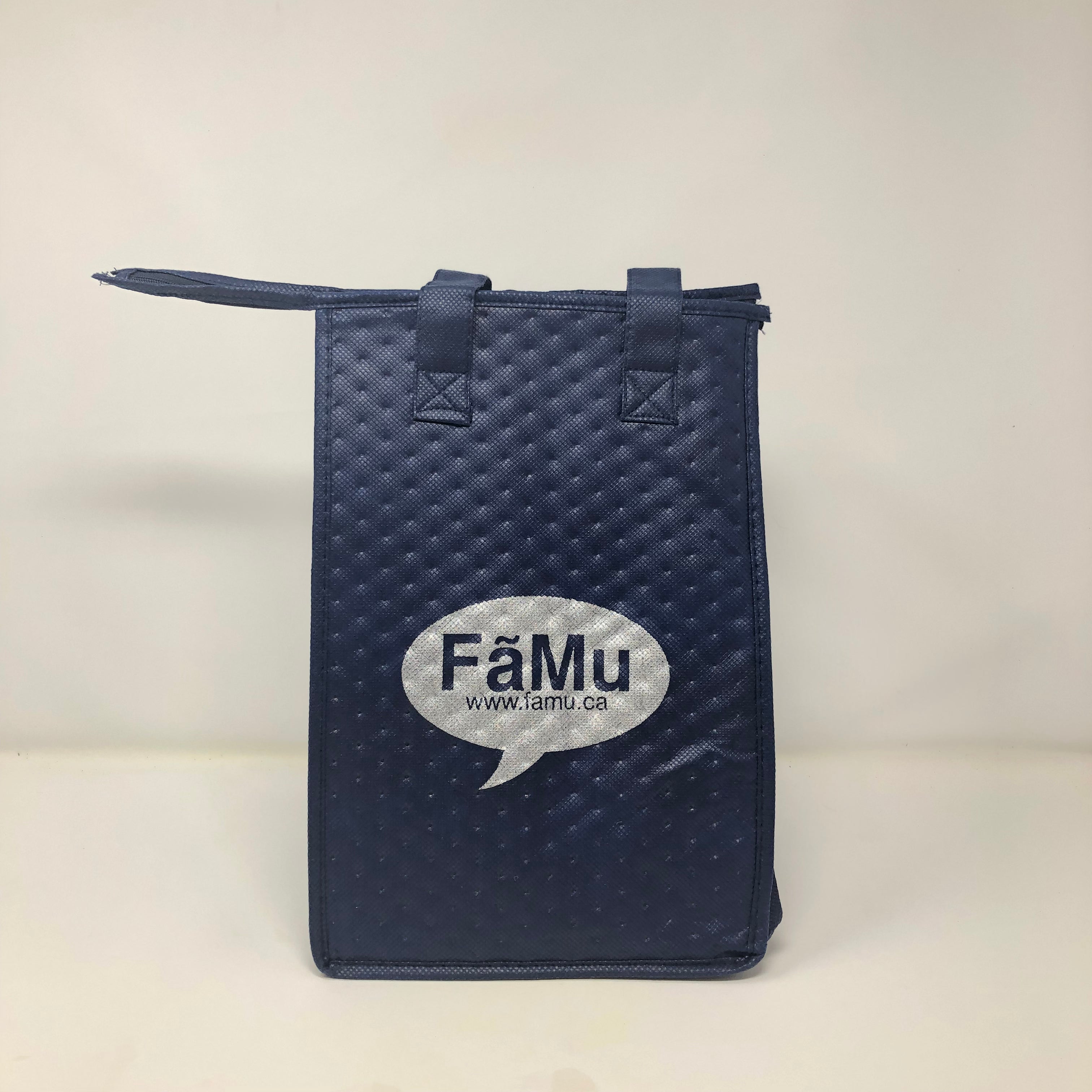 FAMU INSULATED BAG